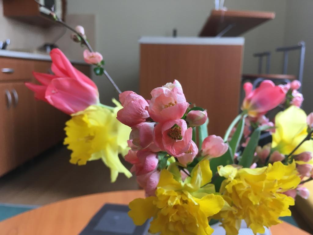 Apartman Darmon Пиещани Екстериор снимка